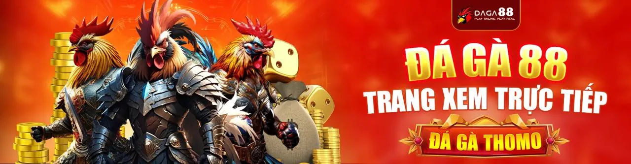 Sân đá gà trực tuyến 11uu Việt Nam