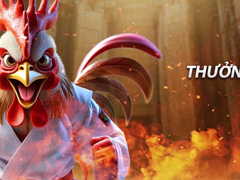 Hình ảnh gà đá cựa sắt, thể hiện sự mạnh mẽ và quyết liệt của loại hình này.